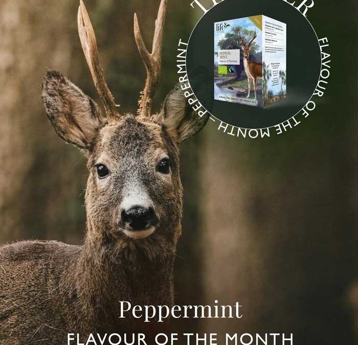 Meet the deer behind our Peppermint.